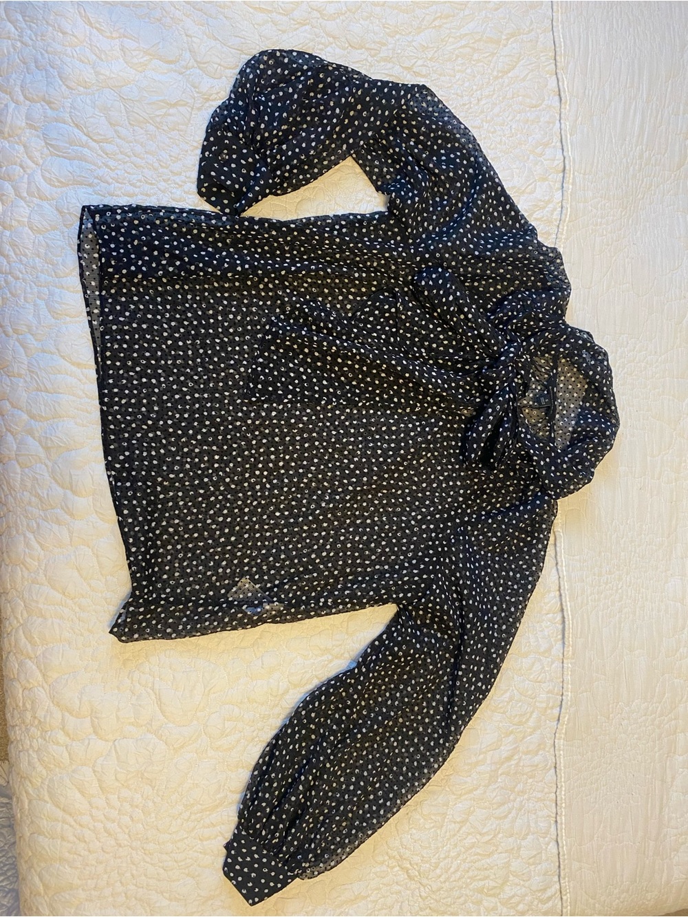 Banana Republic Sheer Black Blouse with White Dot Pattern